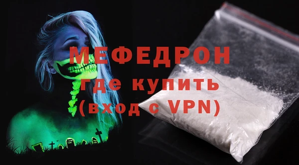 сатива Новозыбков