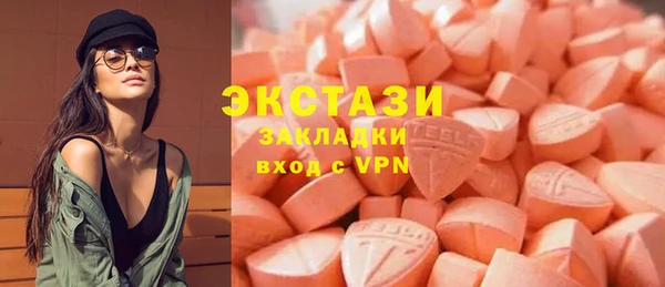 сатива Новозыбков
