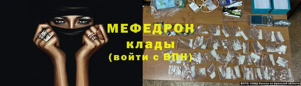 сатива Новозыбков