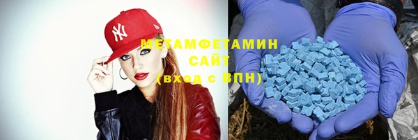 сатива Новозыбков