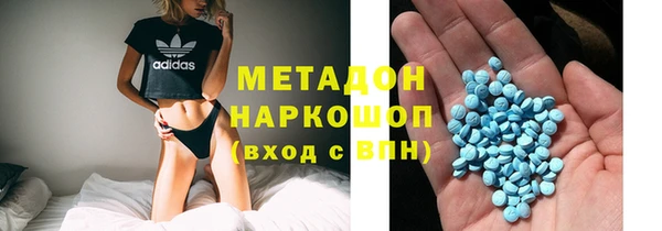 сатива Новозыбков