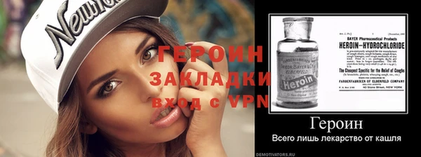сатива Новозыбков