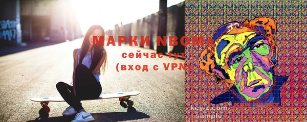 сатива Новозыбков