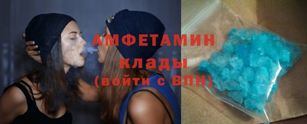 сатива Новозыбков