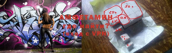 сатива Новозыбков