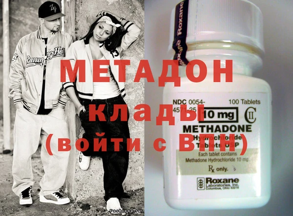 сатива Новозыбков