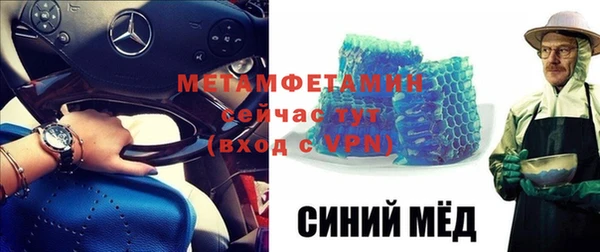 сатива Новозыбков