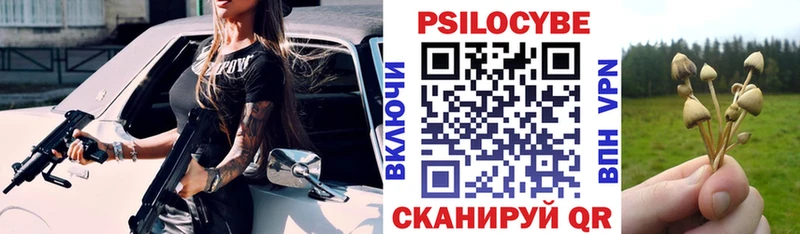 дарнет шоп  блэк спрут онион  Галлюциногенные грибы мухоморы  Ступино 