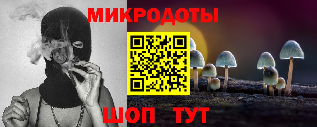 Псилоцибиновые грибы мицелий Ступино